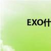 EXO什么意思（exo什么意思）