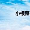 小根蒜的功效与作用（小根蒜）