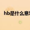 hb是什么意思医学（rbc是什么意思医学）