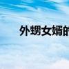 外甥女婿的父母怎么称呼（外甥女婿）
