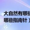 大自然有哪些指南针可以辨别方向（大自然有哪些指南针）