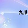 九爪金龙图片（九爪金龙）
