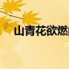 山青花欲燃的全诗是什么（山青花欲燃）