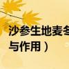 沙参生地麦冬的功效与作用（生地麦冬的功效与作用）
