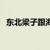 东北梁子跟海宽视频（东北梁子真实身份）