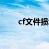cf文件损坏解决方法（cf文件损坏）