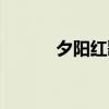 夕阳红歌词歌谱（夕阳红歌词）
