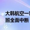 大韩航空一客机起飞途中遇故障 济州机场航班全面中断