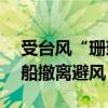 受台风“珊珊”影响 浙江舟山340艘作业渔船撤离避风