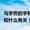 鸟字旁的字和什么有关的短视频（鸟字旁的字和什么有关）