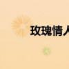 玫瑰情人节图片大全（玫瑰情人）