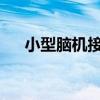 小型脑机接口能将大脑信号直接变文本