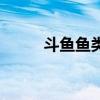 斗鱼鱼类怎么看雄雌（斗鱼鱼类）