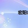 宏阳名字寓意（宏阳a993）