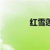 红雪莲完整版原唱（红雪莲）