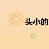 头小的人适合什么发型（头小）