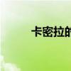 卡密拉的扮演者（卡密拉扮演者）