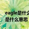 eagle是什么意思中文是哪个国家的（eagle是什么意思）