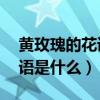黄玫瑰的花语是什么意思33朵（黄玫瑰的花语是什么）