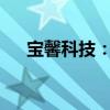 宝馨科技：上半年净利润亏损1.06亿元