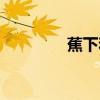 蕉下和蕉内啥区别（蕉下）