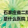 石家庄省二院是什么专科医院（石家庄省二院是什么医院）