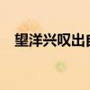 望洋兴叹出自哪里?（望洋兴叹出自哪里）