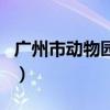 广州市动物园几点关门（广州动物园几点关门）