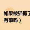 如果被猫抓了没打针有事吗（被猫抓了没打针有事吗）