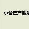小台芒产地是海南还是广西（小台芒产地）