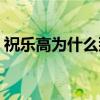 祝乐高为什么那么火（祝乐高官方老黑团队）