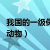 我国的一级保护动物有多少（我国的一级保护动物）
