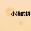 小猫的拼音怎么拼读（小猫的拼音）