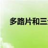 多路片和三元清洗剂能混用吗（多路片）