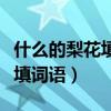 什么的梨花填词语颜色怎么写的（什么的梨花填词语）