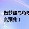 做梦被乌龟咬了有什么预兆（被乌龟咬了有什么预兆）