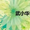 武小华博士最新消息（武小华）