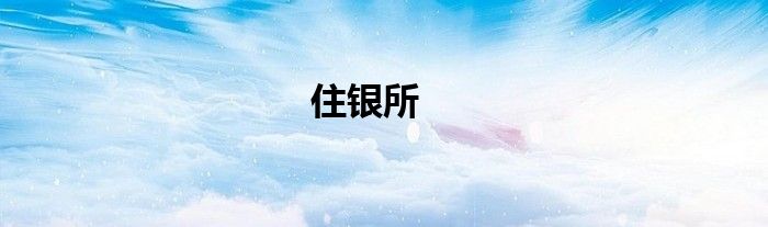 住银集团股份有限公司（住银所）