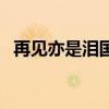再见亦是泪国语版叫什么歌（再见亦是泪）