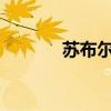 苏布尔嘎煤矿取得采矿许可证
