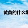 黄黄的什么填空词语（黄黄的什么填词语）