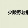 少陵野老指的是哪位诗人（少陵野老）