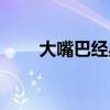 大嘴巴经典歌曲（大嘴巴好听的歌）