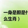 一身是胆是什么生肖正确答案（一身是胆是什么生肖）