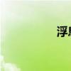 浮息债重现信用债市场