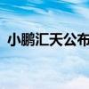小鹏汇天公布量产时间表 售价不超过200万