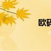 欧码尺寸对照表（欧码）