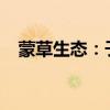 蒙草生态：子公司签署PPP项目终止协议