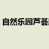 自然乐园芦荟胶用完后要洗脸吗（自然乐园）