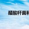 醋酸杆菌和醋酸菌的区别（醋酸杆菌）